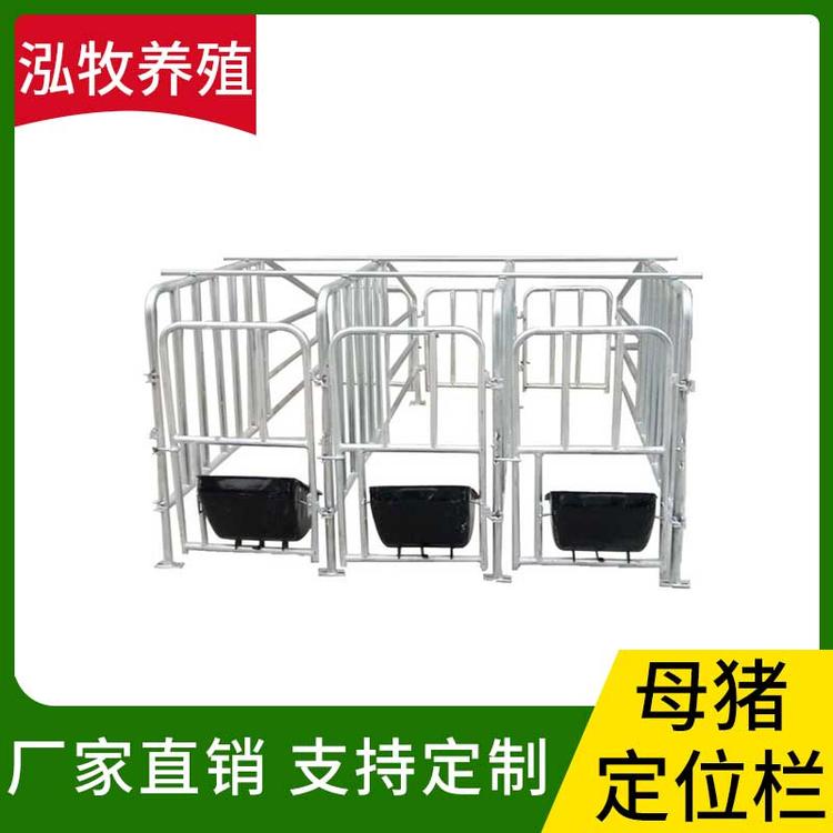 泓牧养殖 母猪定位栏 母猪限位栏 猪用定位栏 肥猪定位栏 限位栏 猪场养猪带食槽 养猪设备 母猪定位栏 母猪产床定位栏