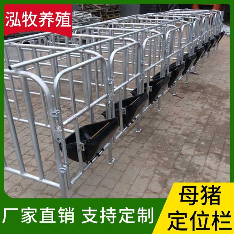 泓牧养殖 母猪定位栏 母猪限位栏 猪用定位栏 肥猪定位栏 限位栏 猪场养猪带食槽 养猪设备 母猪定位栏 食槽限位栏 复合板限位栏 母猪产床定位栏