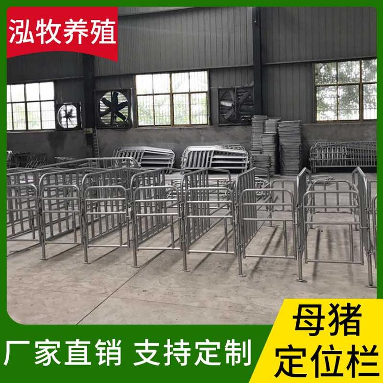 泓牧养殖 母猪定位栏 肥猪定位栏 母猪限位栏 猪用定位栏 