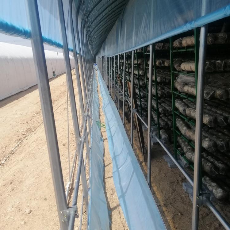 设计加工养殖大棚材料 蛋鸡 朗德鹅 猪 鸭 鹅养殖大棚