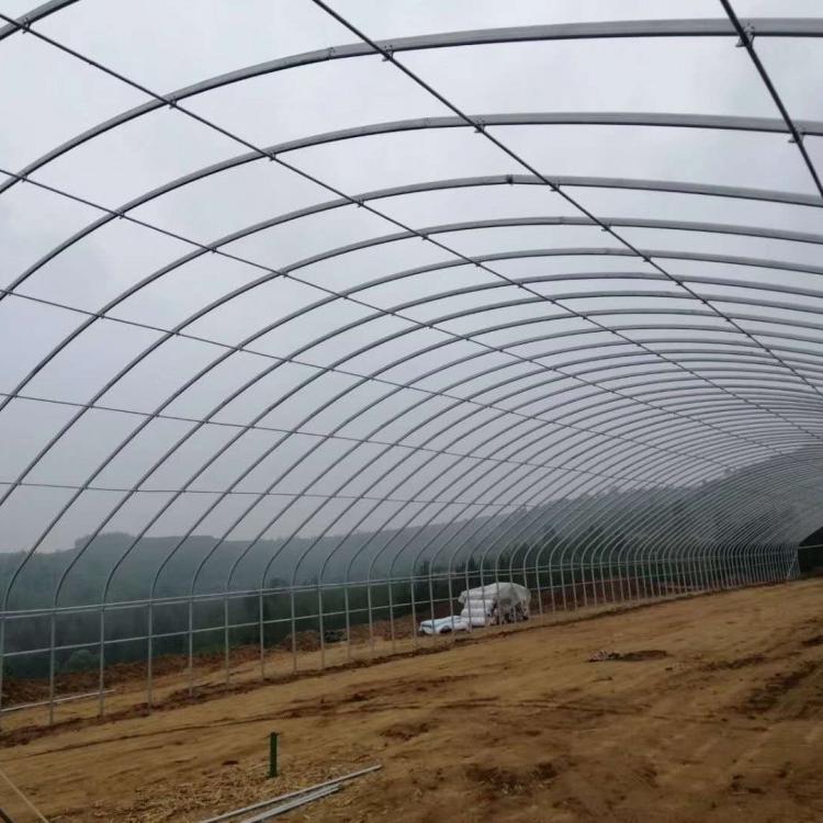 山东蛋鸡椭圆管养殖大棚性价比高