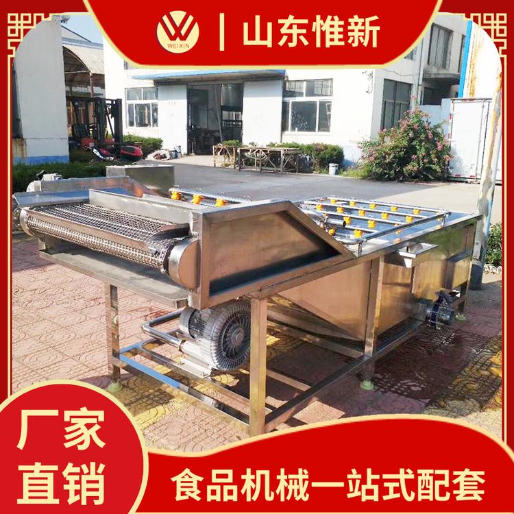 商用芹菜喷淋式气泡清洗机 喷淋式气泡清洗机 全自动气泡清洗洗菜机