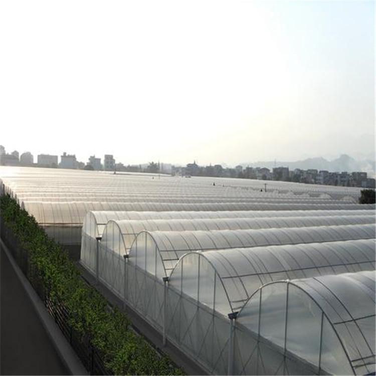 薄膜蔬菜温室 薄膜温室供应 天之蓝温室