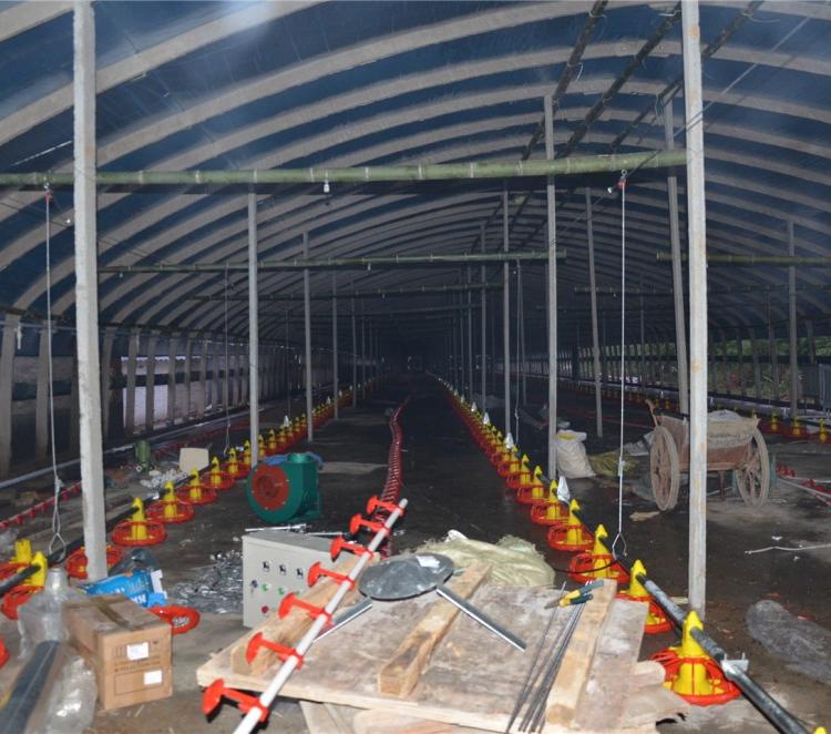 厂家直销 养殖场专用自动养殖料线 自动上料线