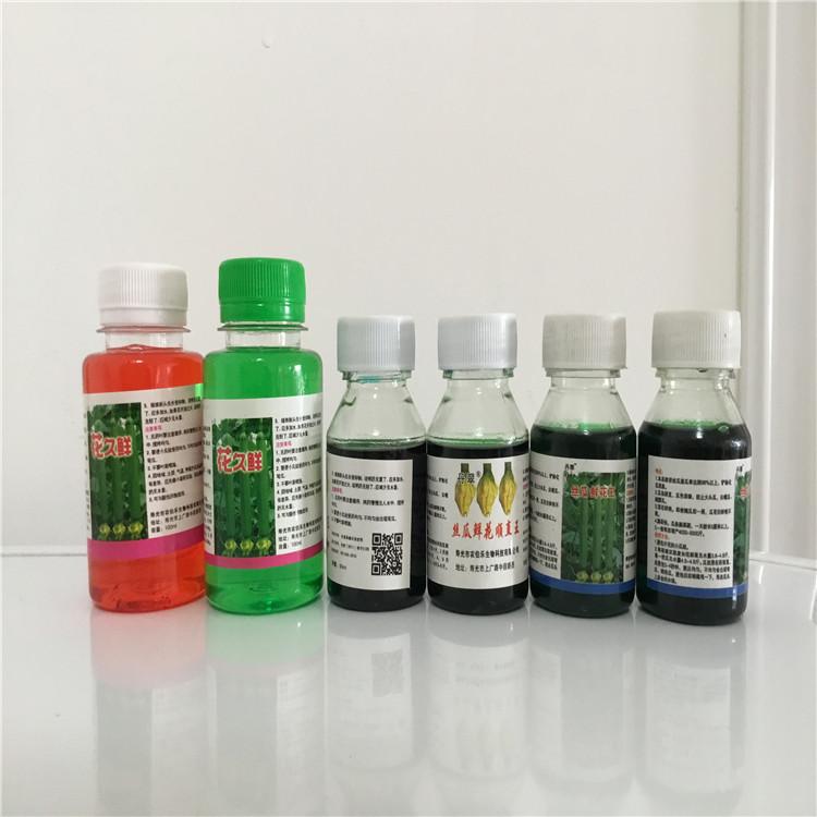 丝瓜鲜花王点花药 蘸花药批发 效果好 花久鲜 欢迎咨询