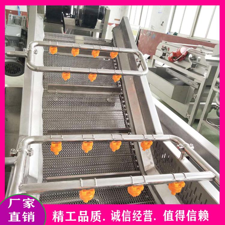 连续式毛豆清洗机 毛豆风选清洗挑拣流水线 鲜大枣气泡清洗机 大姜去皮去泥清洗机