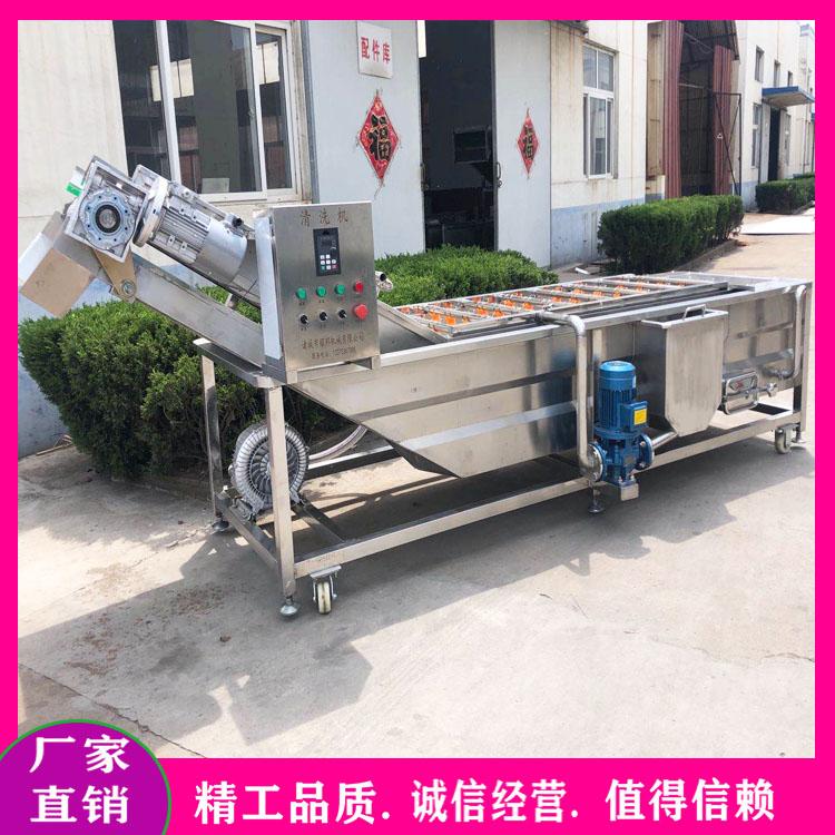 香菇清洗机 毛豆清洗漂烫流水线 食用菌去泥清洗机 连续式木耳清洗机 翻浪式气泡清洗机