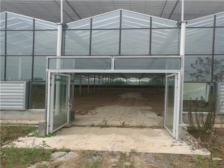 智能连栋温室 玻璃温室承建 蔬菜玻璃温室大棚 天之蓝温室
