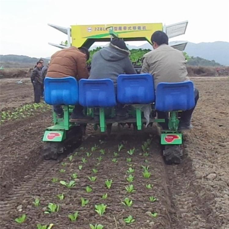 菜心移栽机 华龙移栽机 移栽机厂家 报价合理