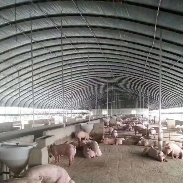 养猪养殖大棚设计肉鸭蛋鸡养殖大棚厂家生产安装值得信赖
