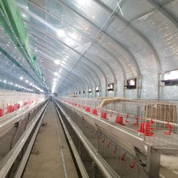 高品质的智能养殖大棚养鸭大棚 蛋鸡养猪养殖大棚