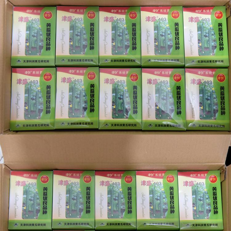 大量上市津盛103黄瓜种子供应商 大量上市供应商