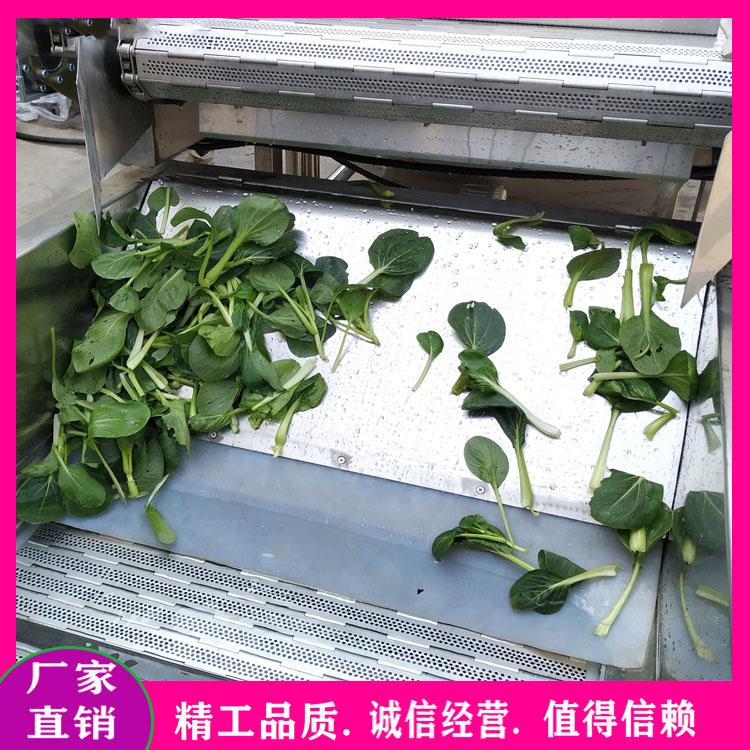 酱菜加工清洗设备 酸菜豆角气泡清洗机 蔬菜脱水加工清洗机 蔬菜涡流螺旋清洗设备生产厂家