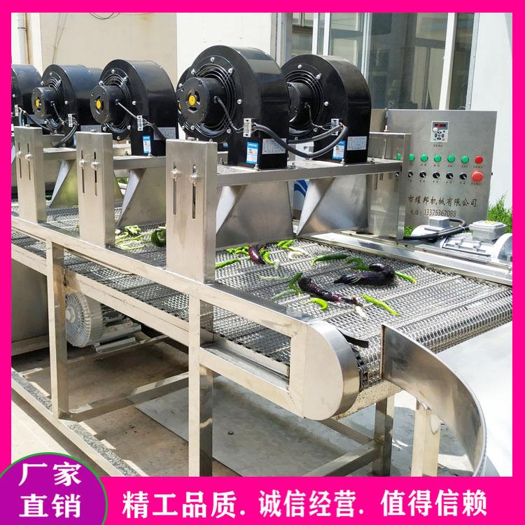 腌渍菜清洗脱盐机 果蔬清洗风干流水线 酱菜清洗脱盐流水线 酸菜酱菜豆角清洗机