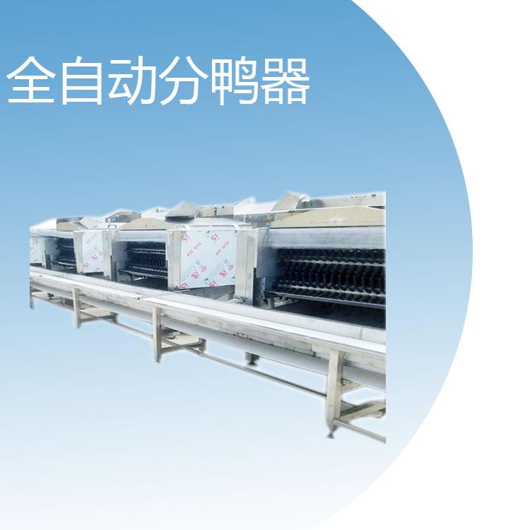 厂家直销全自动鸡鸭脱毛机   自动分鸭器 屠宰流水线全自动鸡鸭脱毛机价格