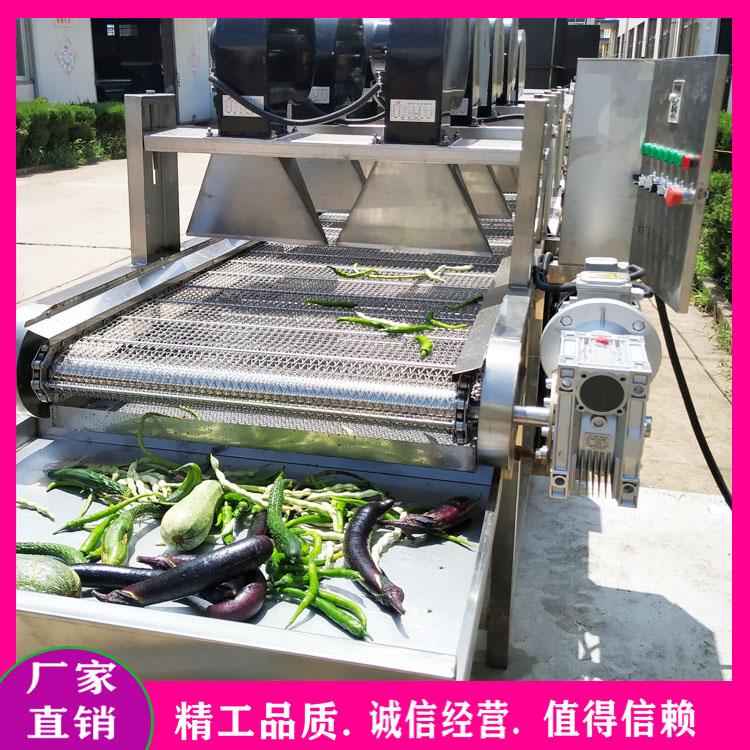 多功能酱菜清洗脱盐机 全套叶类蔬菜酱菜生产流水线 毛豆清洗加工设备 榨菜清洗机