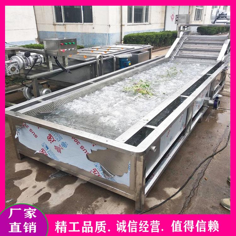 供应毛豆蒸煮漂烫流水线 鲜毛豆杀青机 秋葵清洗漂烫生产线 香菇专业清洗机