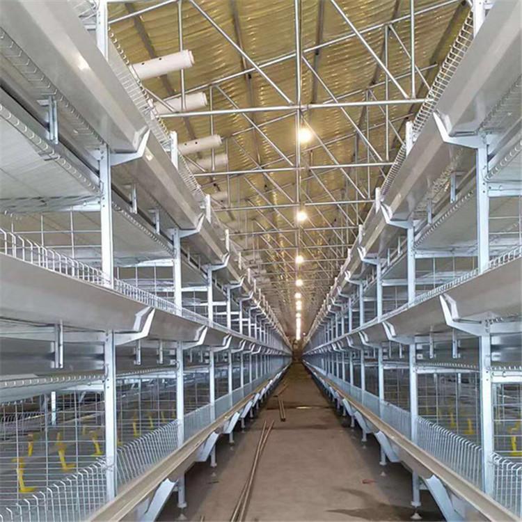 山东鸡笼批发商  肉鸡鸡笼供货商  H型鸡笼
