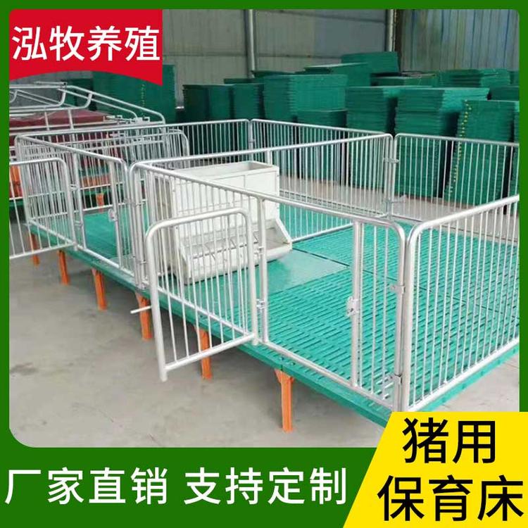 泓牧养殖 猪用保育床 定制养殖场仔猪保育床食槽 仔猪复合保育床 小猪保育床 猪用产床养猪设备
