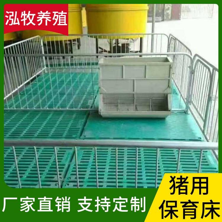泓牧养殖 猪用保育床 定制养殖场仔猪保育床食槽 猪用分娩床 仔猪复合保育床 小猪保育床 猪用产床养猪设备 复合漏粪板猪用产床