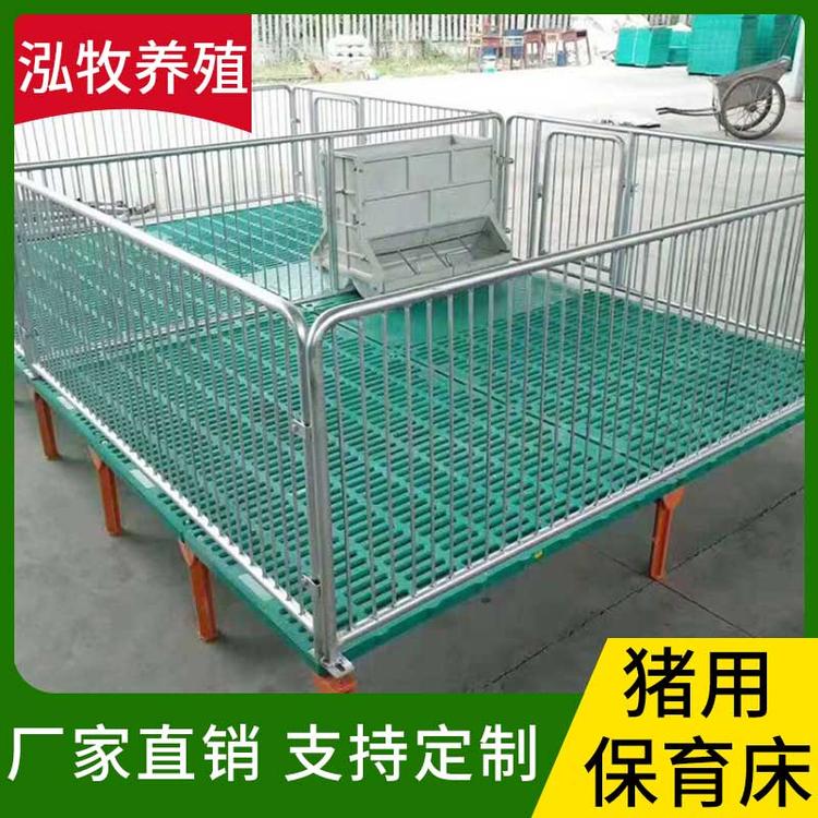 泓牧养殖 仔猪复合保育床