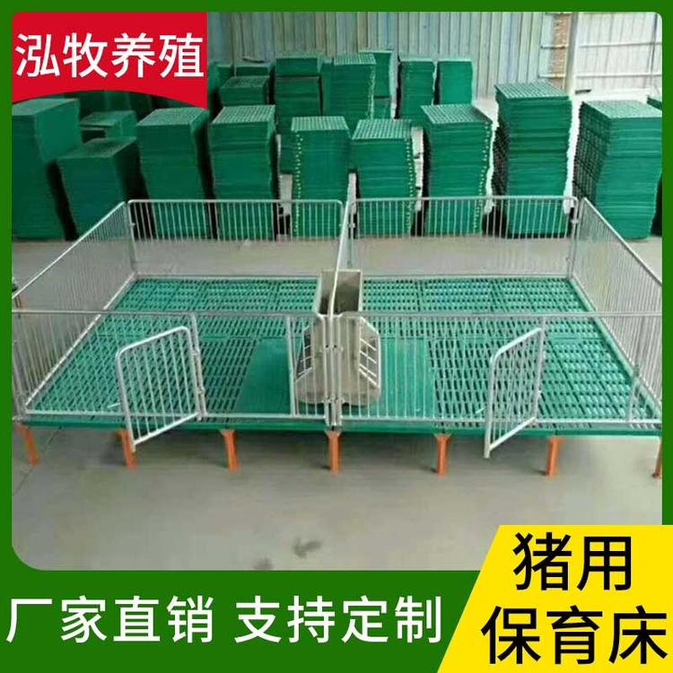 泓牧养殖 猪猪保育床