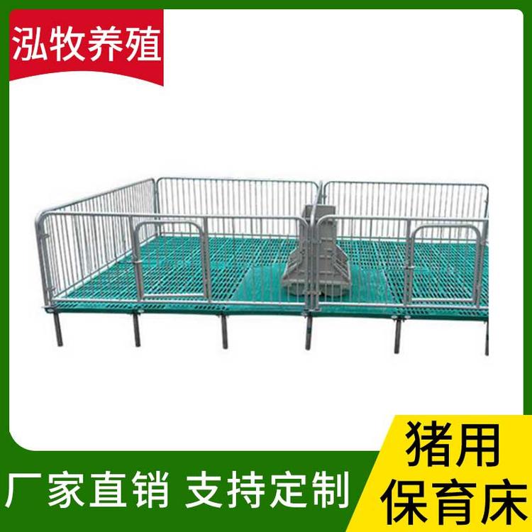 泓牧养殖 猪用保育床 定制养殖场仔猪保育床食槽 支持定制 猪用分娩床 仔猪复合保育床 小猪保育床 猪用产床养猪设备 复合漏粪板猪用产床