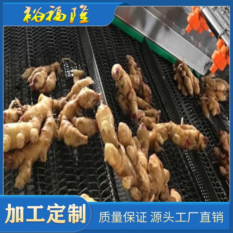 多功能水果蔬菜清洗机 气泡式果蔬清洗机 喷淋式草莓辣椒洗菜机