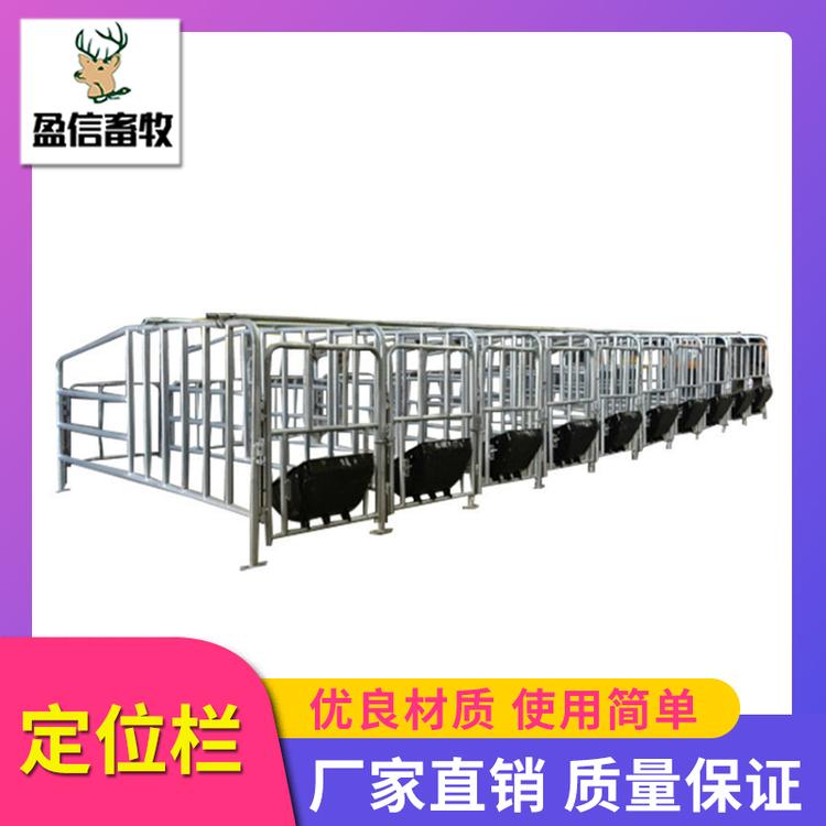 盈信畜牧 猪用定位栏 复合板定位栏 母猪产床和定位栏 带漏粪板的母猪定位栏 定位栏 猪用定位栏限位栏 养猪设备 生产供应 母猪限位栏