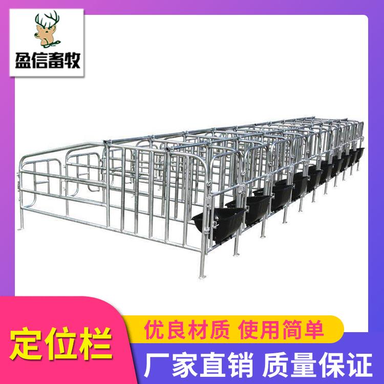 盈信畜牧复合板定位栏 母猪产床和定位栏 带漏粪板的母猪定位栏 定位栏 猪用定位栏限位栏 养猪设备 生产供应 母猪限位栏 猪用定位栏