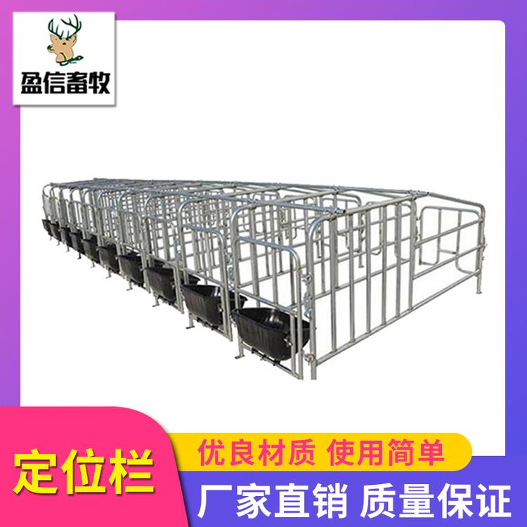 盈信畜牧 母猪产床和定位栏 带漏粪板的母猪定位栏 定位栏 猪用定位栏限位栏 养猪设备 生产供应 母猪限位栏 猪用定位栏 复合板定位栏