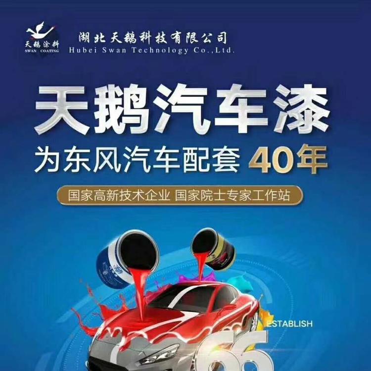 TB9000双组份汽车漆  天鹅涂料