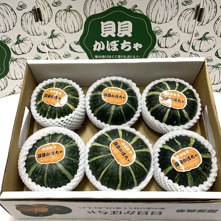 贝贝南瓜正宗板栗味日本进口种源普通礼盒装批发一件代发