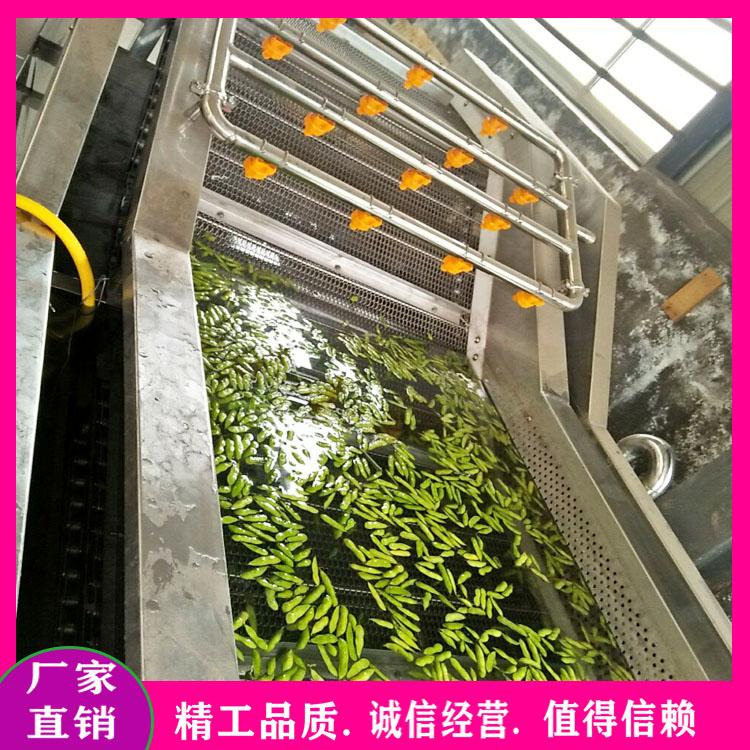 山楂气泡清洗机 翻转式竹笋沥水风干机 全自动强风力脱水设备枸杞清洗风干机