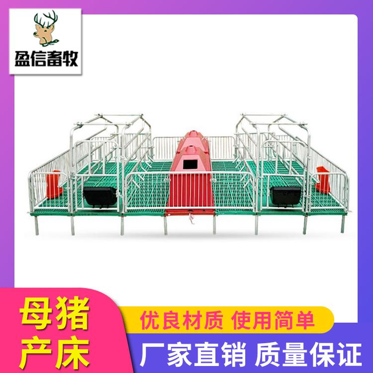 盈信畜牧 母猪产床 养猪场养殖设备母猪产床