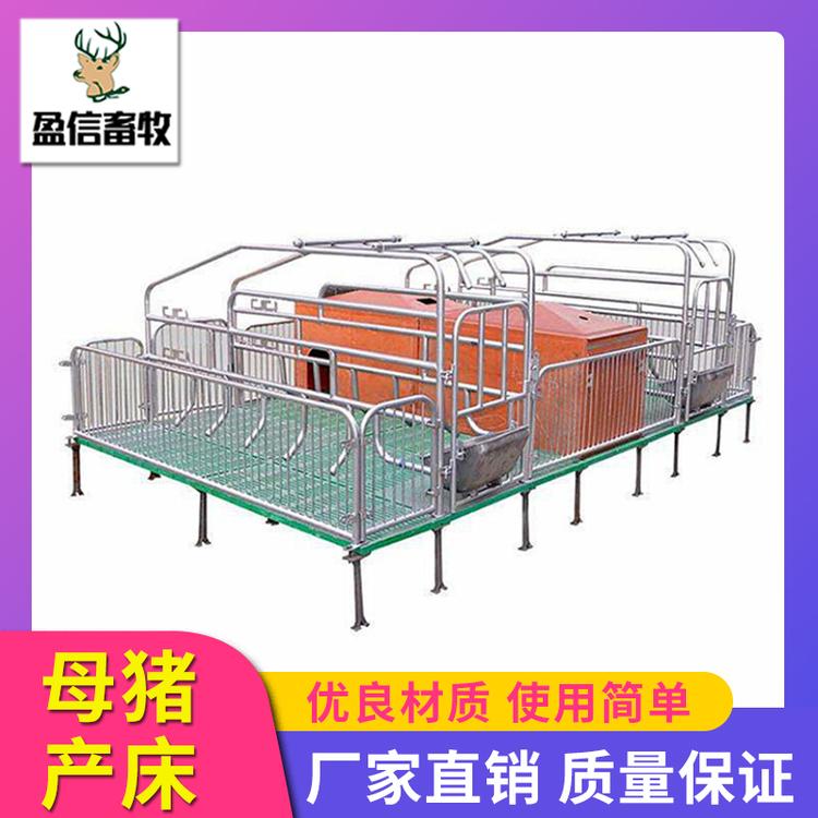 盈信畜牧 母猪产床 母猪定位栏小猪保育床复合板母猪产床