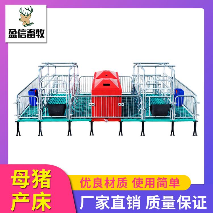 盈信畜牧 母猪产床 猪用产保一体产床