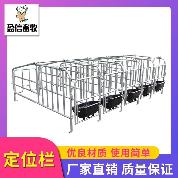 盈信畜牧 定位栏 单体产床定位栏