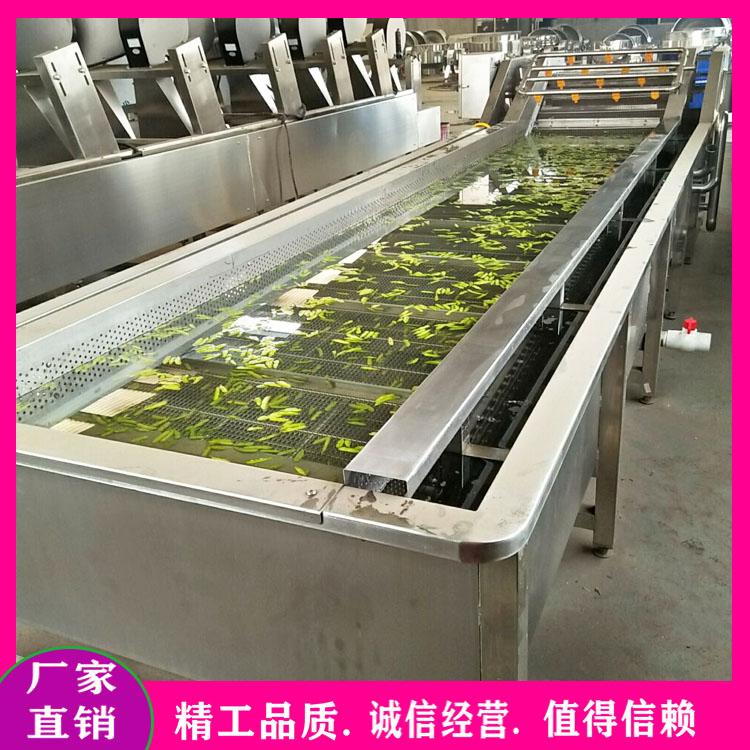 枸杞清洗成套加工设备 软包装油污清洗风干机 花椒清洗机 毛豆清洗漂烫机