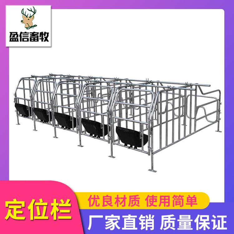 盈信畜牧 定位栏 限位栏产床定位栏 供应养殖设备落地式母猪产床定位栏