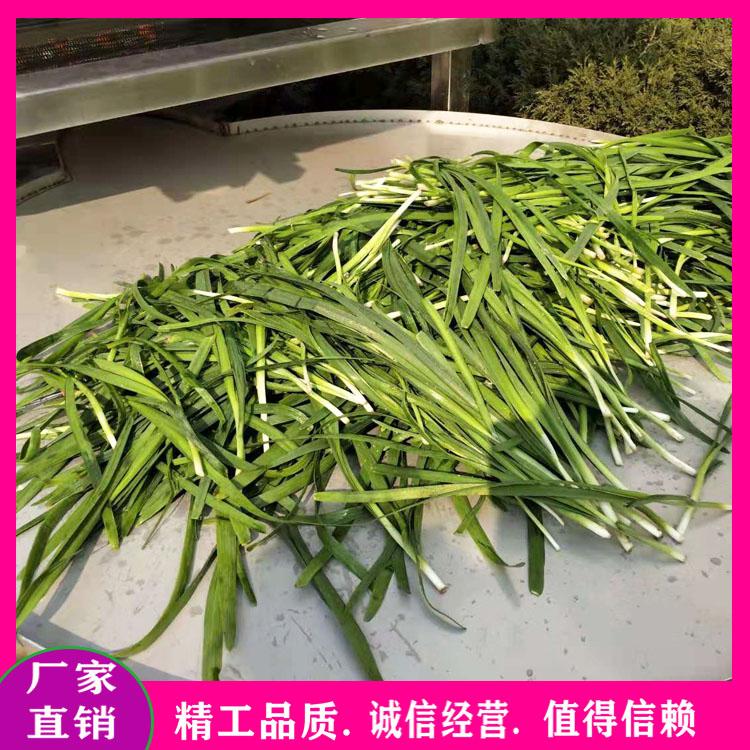 酱腌菜清洗浸泡机 自动喷淋式水果清洗机 包装袋清洗机 毛豆清洗机 净菜加工生产线