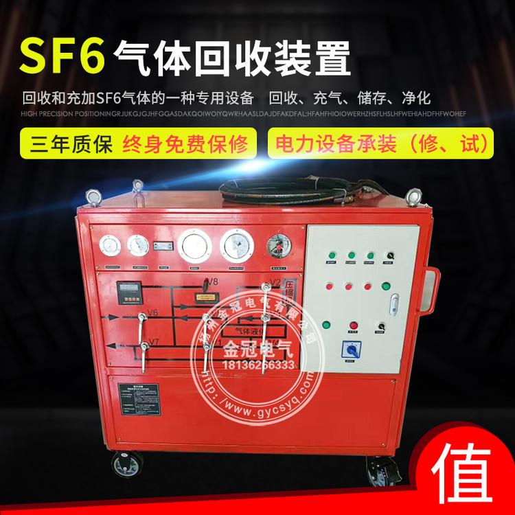 SF6气体抽真空充气装置  六氟化硫回收充放变压器抽气机组 GIS 真空泵