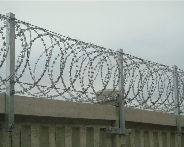 监狱学校围墙防爬防盗刀片滚笼网刀片刺铁丝网  飞腾