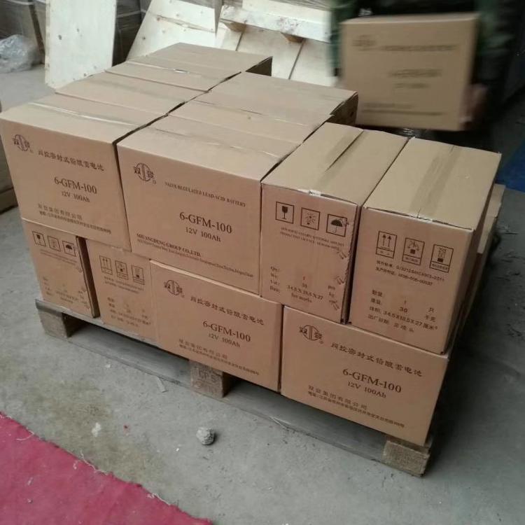 DOFUNG蓄电池DFBG65-12 东丰12V65AH免维护蓄电池