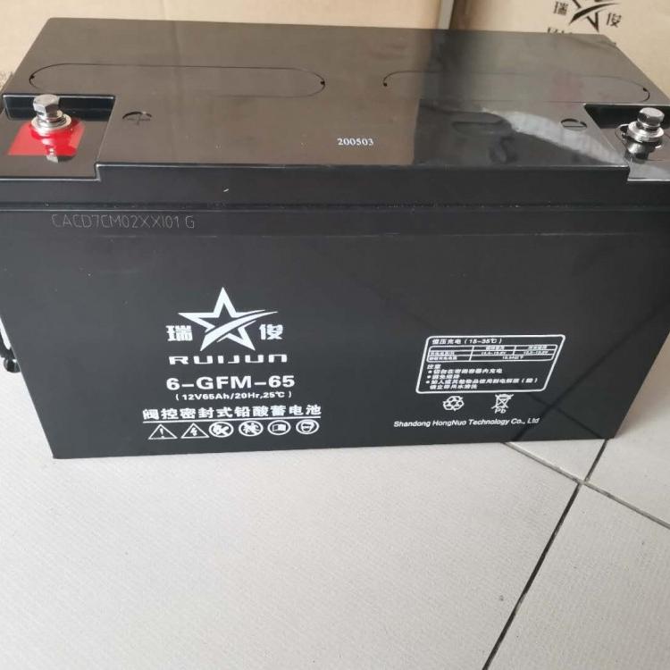瑞俊蓄电池6-gfm-24 12V24AH 免维护储能铅酸蓄电池