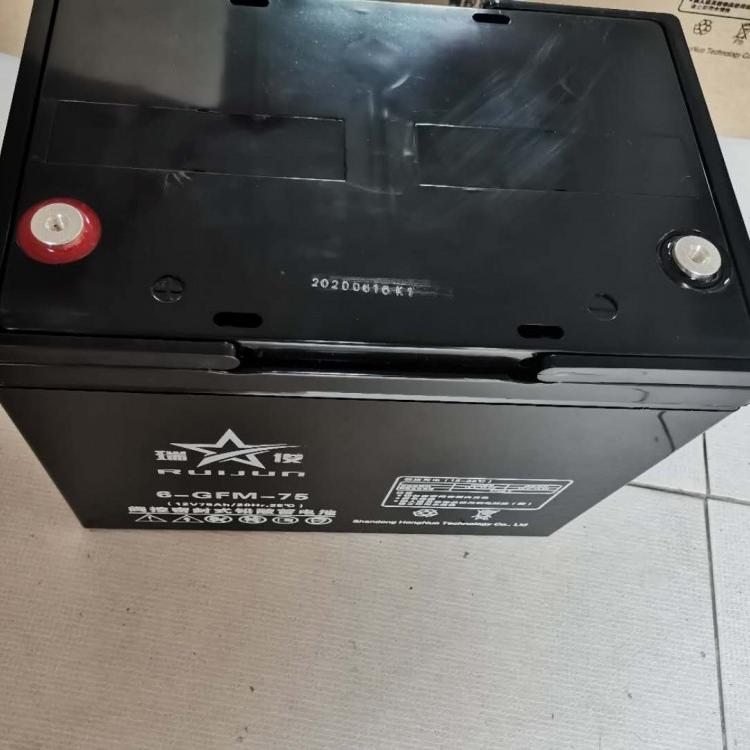 瑞俊蓄电池6-GFM-33 12V33AH蓄电池  免维护储能铅酸蓄电池厂家