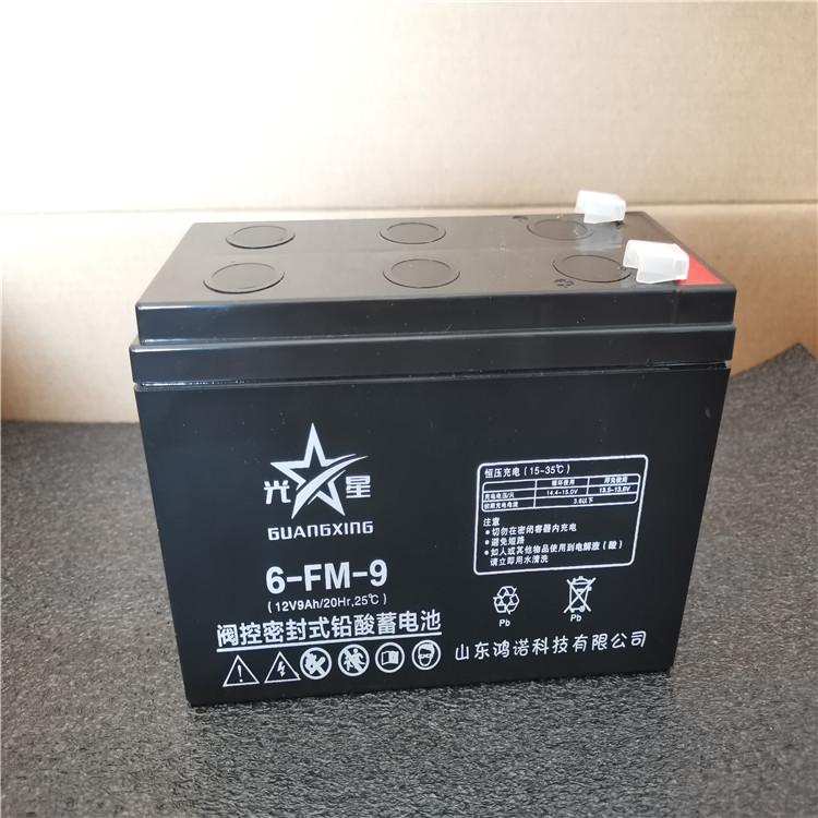 瑞俊蓄电池6-GFM-65 12V65AH蓄电池 太阳能 UPS蓄电池免维护铅酸蓄电池