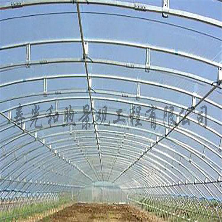 温室大棚 春秋温室大棚拱棚设计   温室大棚建造