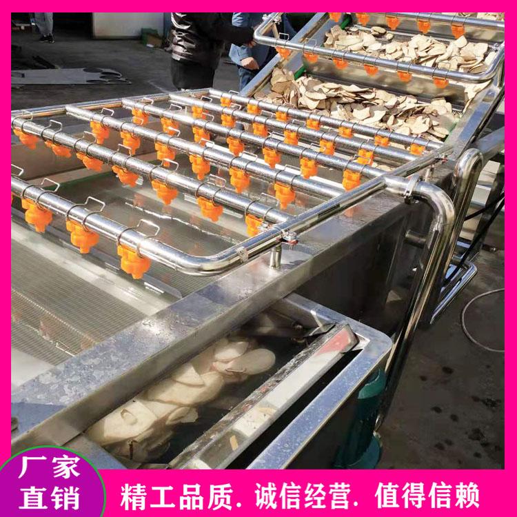 叶菜净洗杀青漂烫机 枸杞高压喷淋清洗机 新疆大枣清洗机 水果蔬菜去农残清洗机