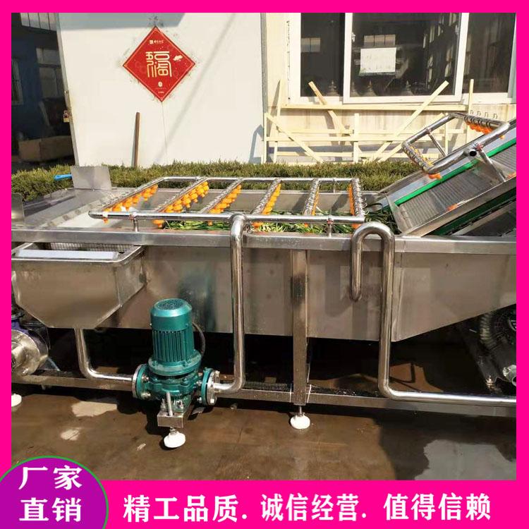 大枣葡萄干清洗风干线 枸杞气泡清洗机 多功能蔬菜杀青漂烫机 清洗沥水风干线
